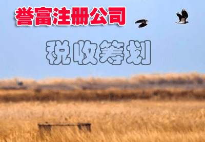 教你如何高效完成上海公司注冊? 教你如何高效完成上海公司注冊?